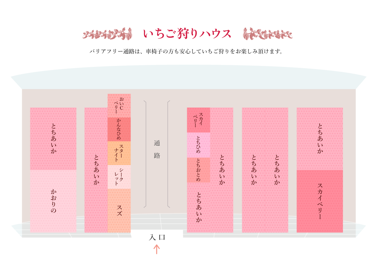 いちご狩り 2025年~ ハウス図