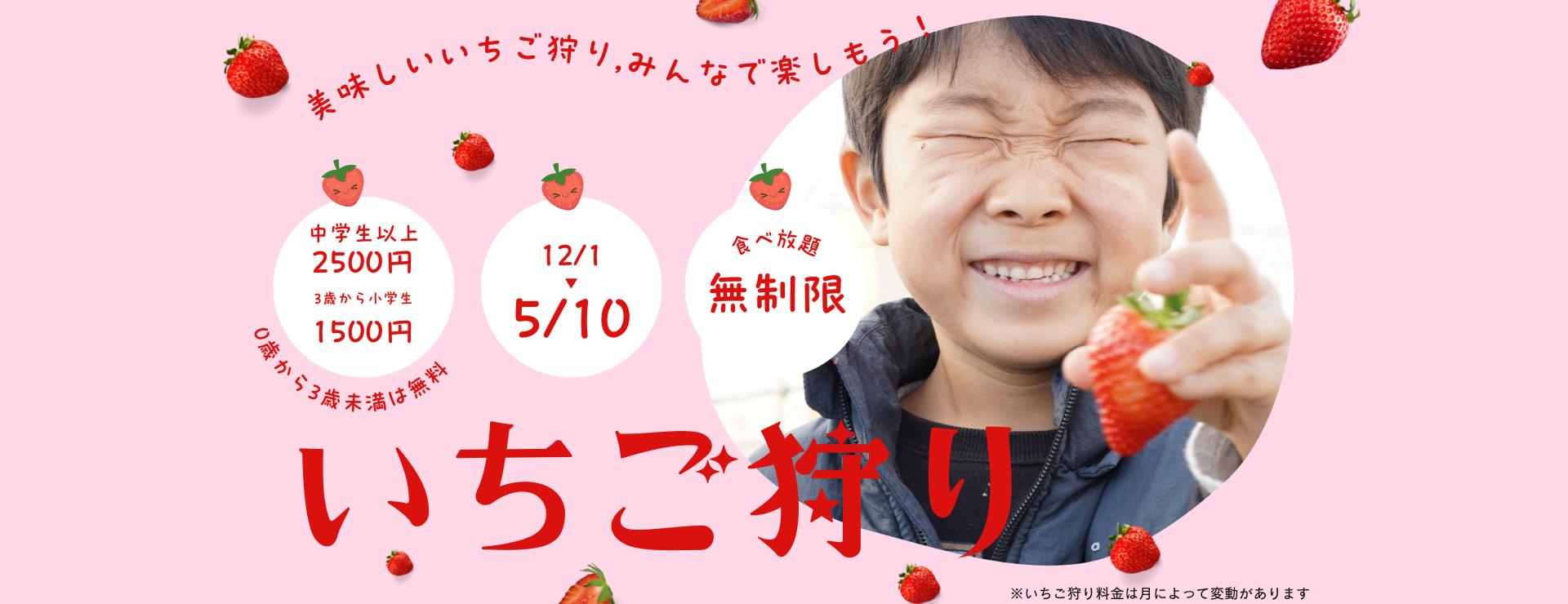 12月から5月 いちご狩り体験受付中