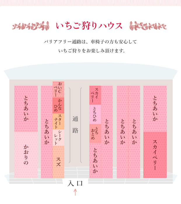 いちご狩り 2025年 ハウス図