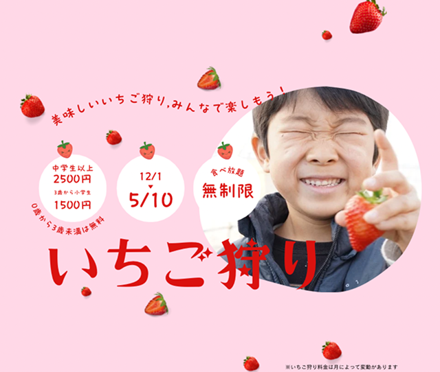 12月から5月 いちご狩り体験受付中